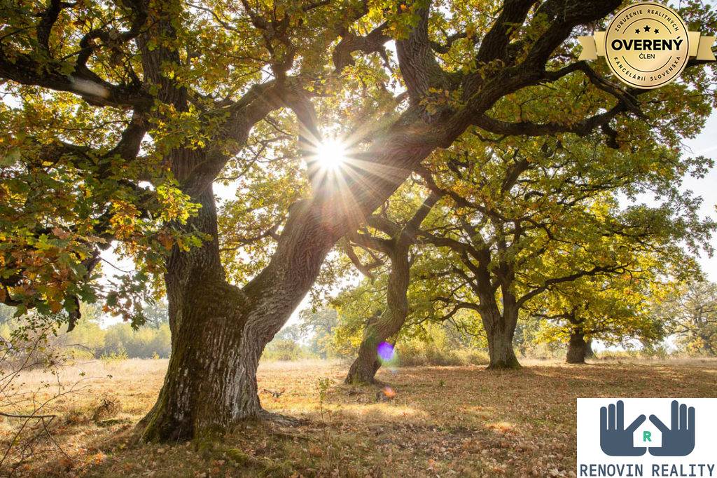 Novostava rodinný dom