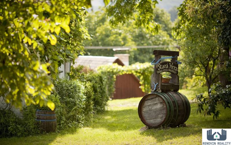 Rodinný dom s veľkým pozemkom vo vinárskom regióne – Hontianske Nemce